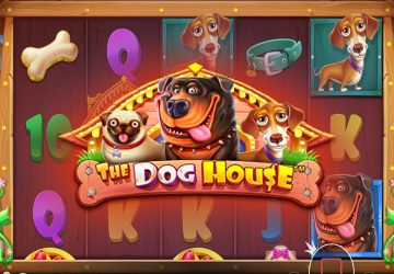 Слот The Dog House в SpinBetter Casino